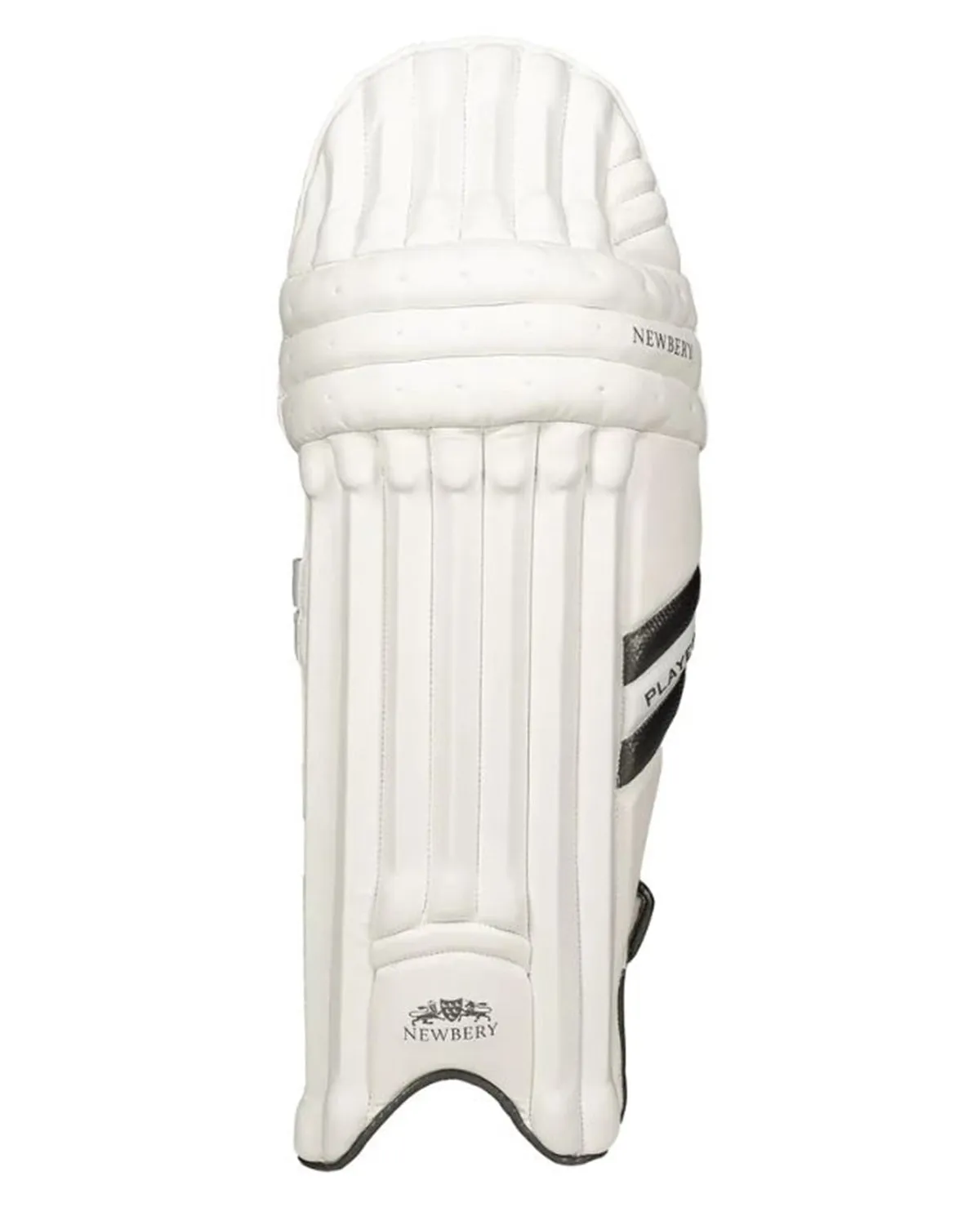 Newbery Player Cricket Batting Pads - Adult